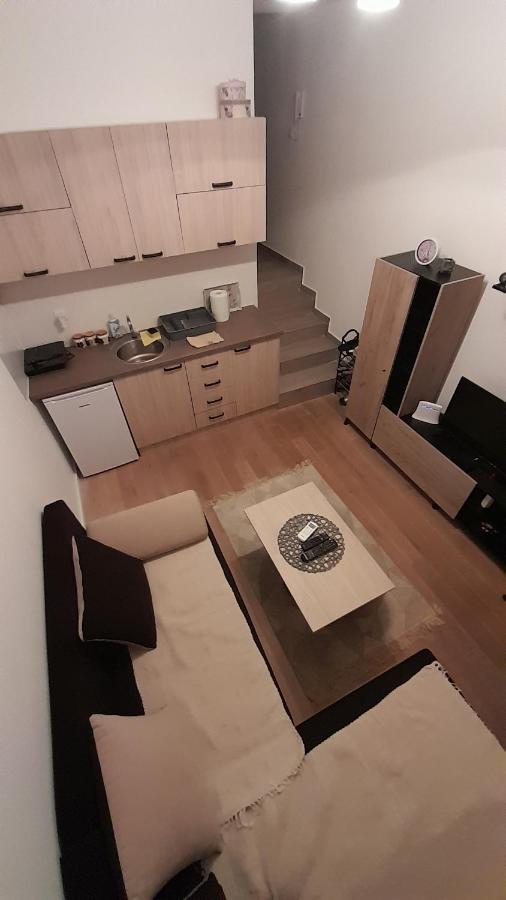 Apartman Tia Vrnjačka Banja Extérieur photo