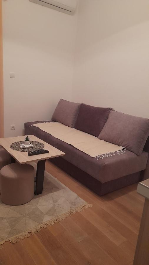 Apartman Tia Vrnjačka Banja Extérieur photo